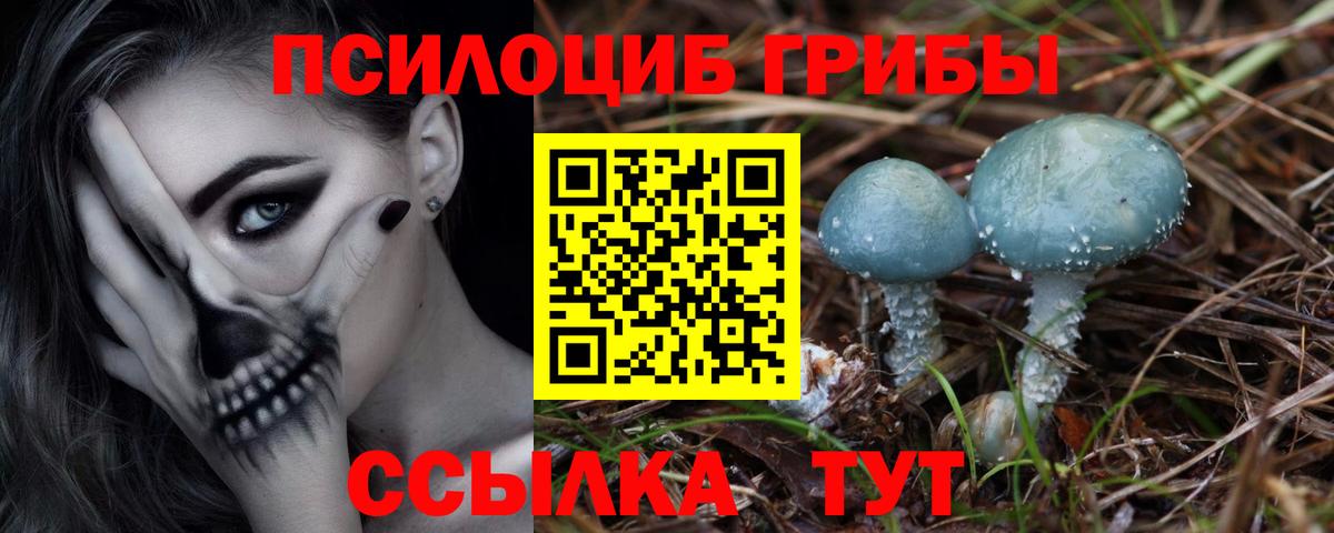 Галлюциногенные грибы Cubensis  Галлюциногенные грибы Magic Shrooms  Сургут  Вход с VPN 